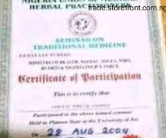 +2348132744942 The best powerful spiritual herbalist man in Nigeria to make money - 2