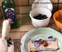 +2348132744942 The best powerful spiritual herbalist man in Nigeria to make money - 3